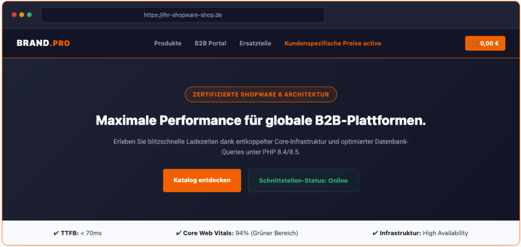 Shopware Agentur - Ihr zertifizierter Shopware Partner 2 Maximale Performance fuer globale B2B-Plattformen